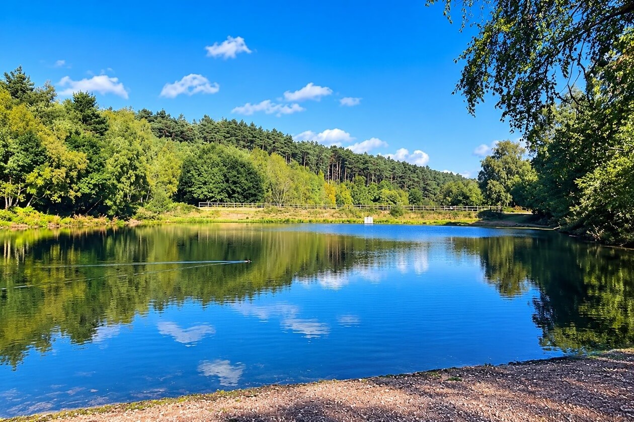 Cannock chase 